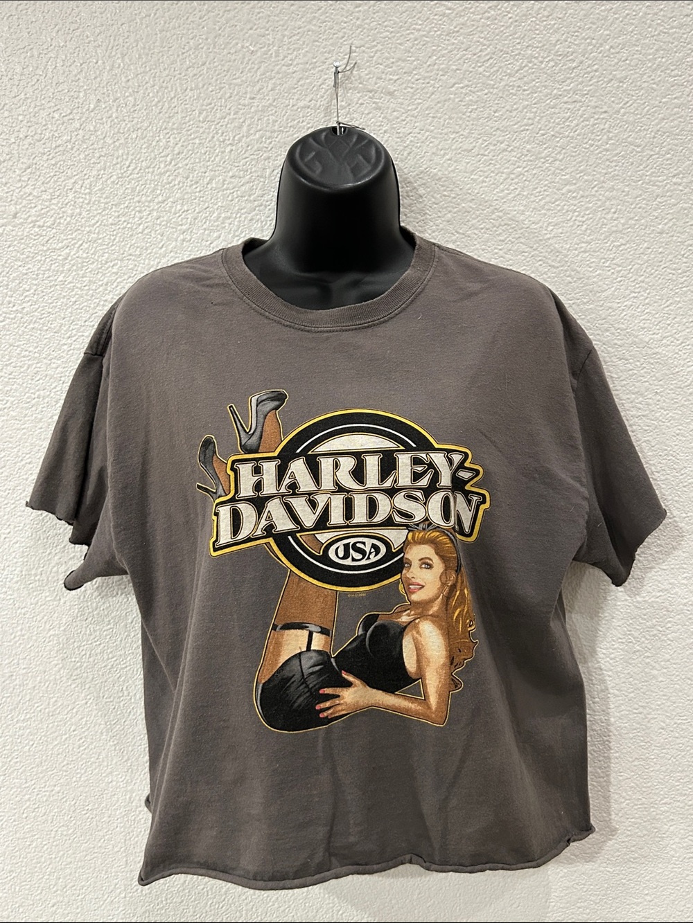 Harley-Davidson Graphic Crop Tee in Charcoal with Gold Accents - Picture 9 of 9